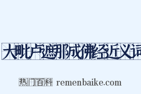 大毗卢遮那成佛经近义词是什么意思的图片